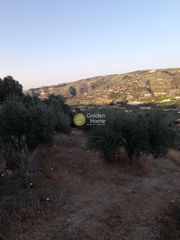 Οικόπεδο 4.450 τ.μ. για πώληση