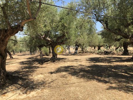 Parcel 1.600sqm for sale-Kalamata » Katsikovo