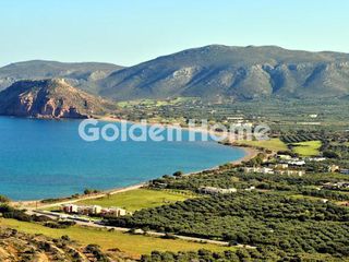 Οικόπεδο 32.700 τ.μ. για πώληση