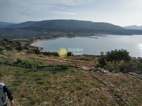 Parcel 5.500sqm for sale-Asopos » Karavostasi