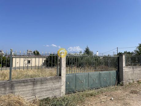 Parcel 303sqm for sale-Oropos » Kampos Oropou