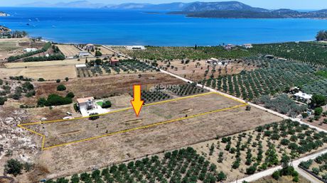 Αγροτεμάχια 6.057,57τ.μ. για πώληση-Ερμιόνη