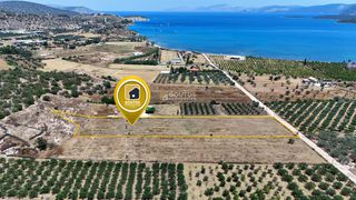 Αγροτεμάχια 6.057,57 τ.μ. για πώληση