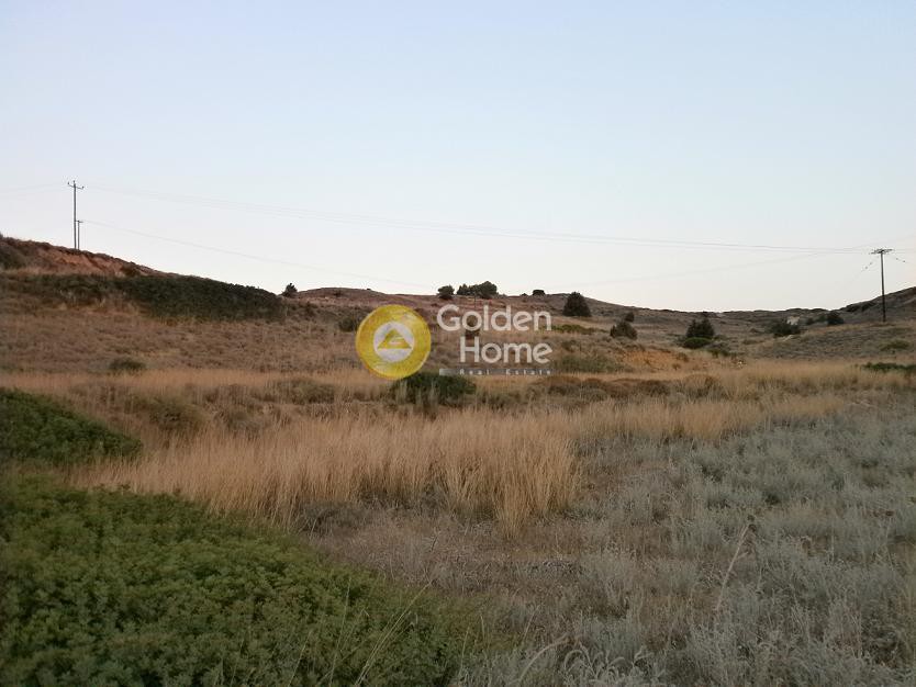Οικόπεδο 17.000 τ.μ. πρός πώληση, Δωδεκάνησα, Κως