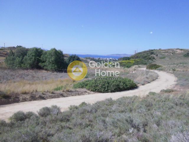 Οικόπεδο 17.000 τ.μ. πρός πώληση, Δωδεκάνησα, Κως