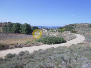 Οικόπεδο 17.000 τ.μ. για πώληση