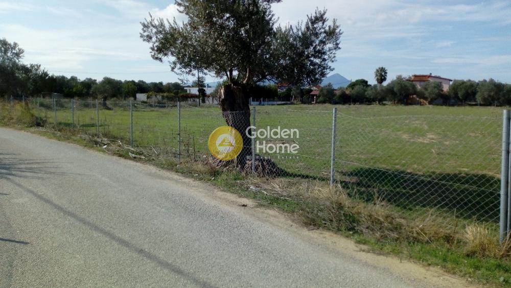 Αγροτεμάχια 5.625 τ.μ. προς πώληση, Μύτικας Ληλαντίου