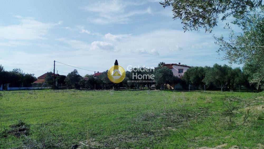 Αγροτεμάχια 5.625 τ.μ. προς πώληση, Μύτικας Ληλαντίου