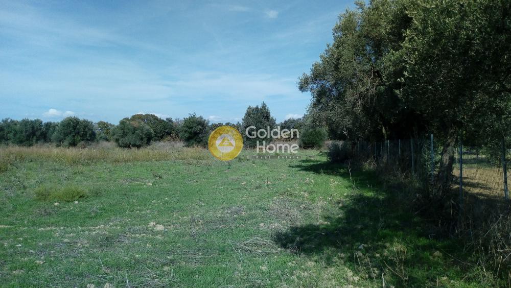 Αγροτεμάχια 5.625 τ.μ. προς πώληση, Μύτικας Ληλαντίου