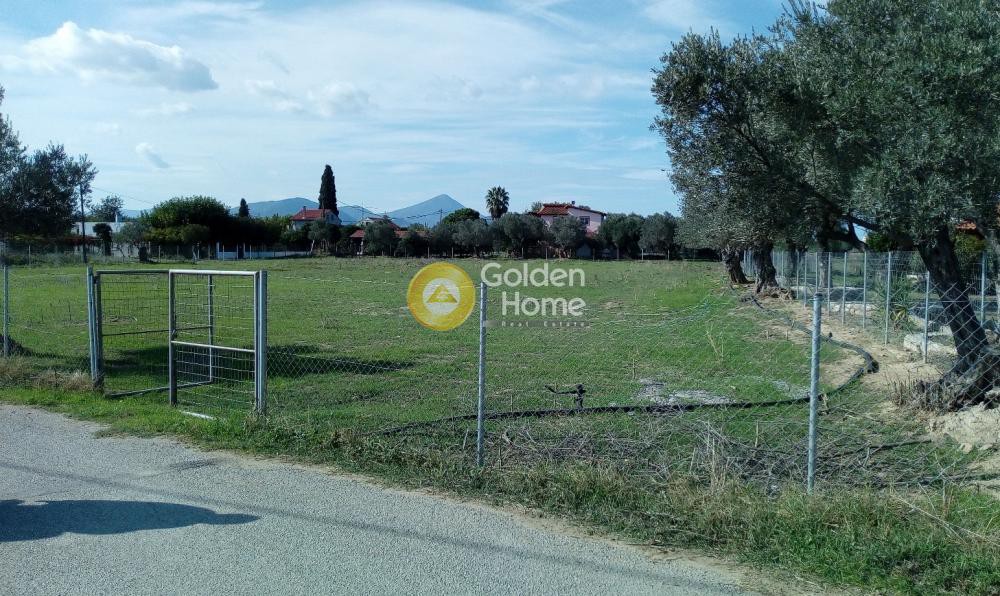 Αγροτεμάχια 5.625 τ.μ. προς πώληση, Μύτικας Ληλαντίου