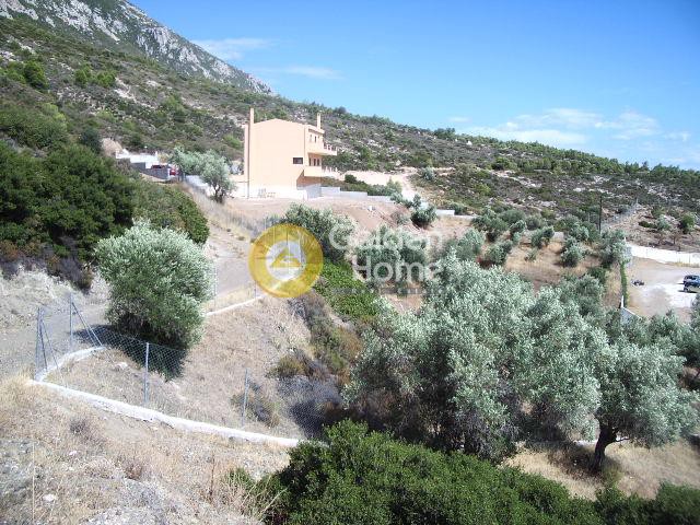 Μονοκατοικία 240 τ.μ. προς πώληση, Πίσια