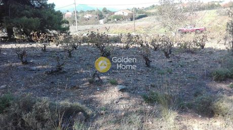Parcel 2.000sqm for sale-Com. Kapandriti » Agioi Anargiroi