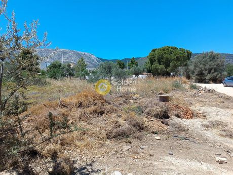 Land plot 4.800sqm for sale-Paiania » Trigono Lagou
