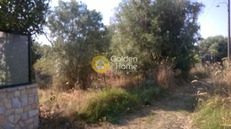 Land plot 350sqm for sale-Oropos » Kampos Oropou
