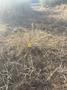Land plot 4.020sqm for sale-Chersonisos » Agkisaras