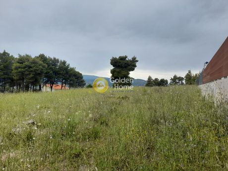 Οικόπεδο 4.020τ.μ. για πώληση-Κ. καπανδριτίου » Μικροχώρι