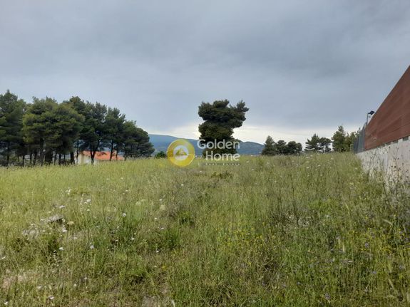 Land plot 4.020 sqm for sale, Rest Of Attica, Com. Kapandriti