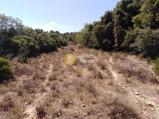 Οικόπεδο 8.705 τ.μ. για πώληση, Ν. Ρεθύμνου, Αρκάδι-thumb-2