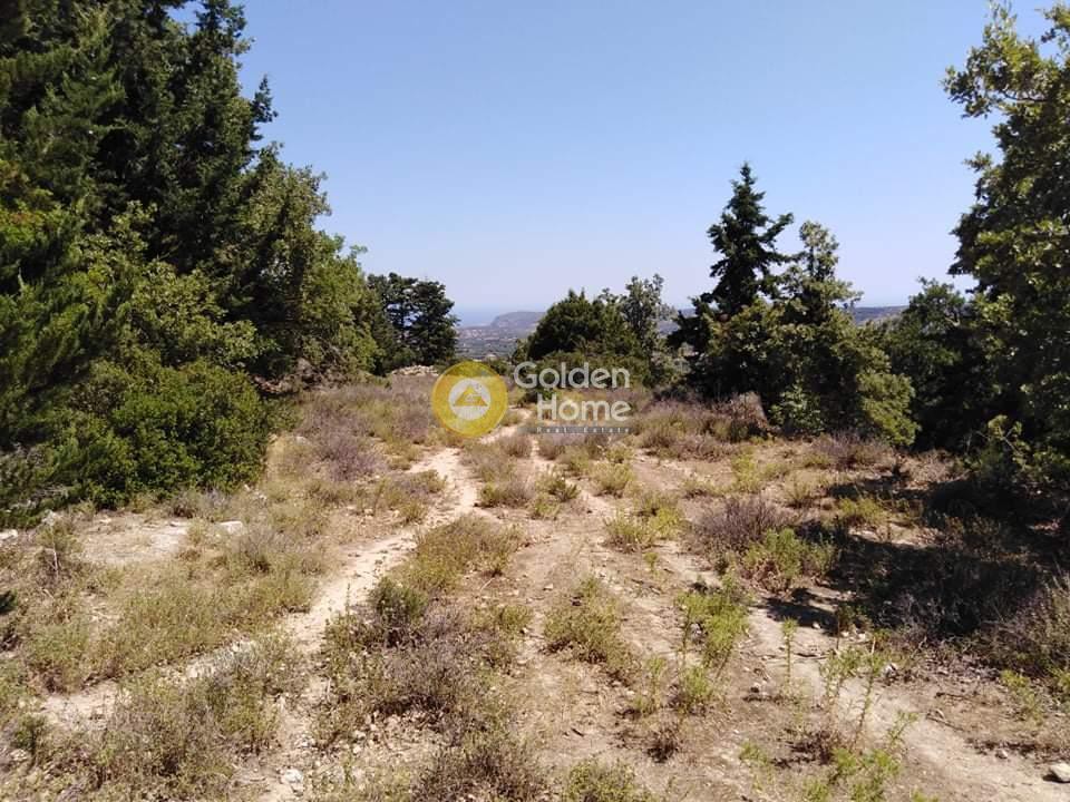Οικόπεδο 8.705 τ.μ. για πώληση, Ν. Ρεθύμνου, Αρκάδι