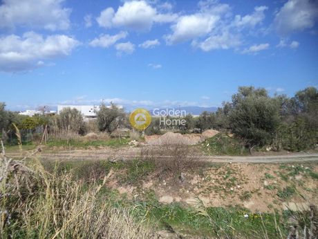 Αγροτεμάχια 4.000τ.μ. για πώληση-Αίγιο » Κουλούρα