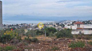 Οικόπεδο 258 τ.μ. προς πώληση, Έξω Παναγίτσα-thumb-2