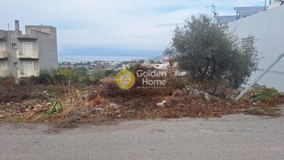 Οικόπεδο 258 τ.μ. προς πώληση, Έξω Παναγίτσα-thumb-11