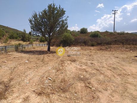 Οικόπεδο 9.470τ.μ. για πώληση-Μαραθώνας » Βόθωνας