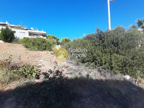 Οικόπεδο 1.300τ.μ. για πώληση-Ανάβυσσος » Άγιος νικόλαος