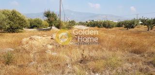 Αγροτεμάχια 2.756 τ.μ. για ενοικίαση