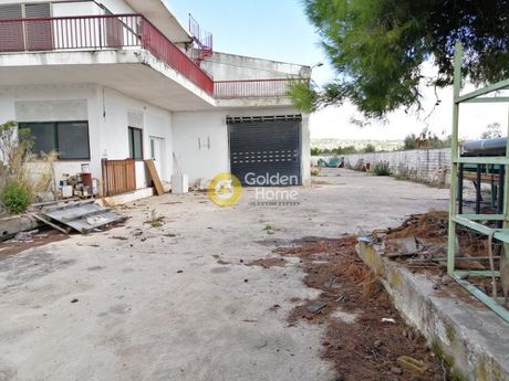 Building 809sqm for sale-Oropos » Center