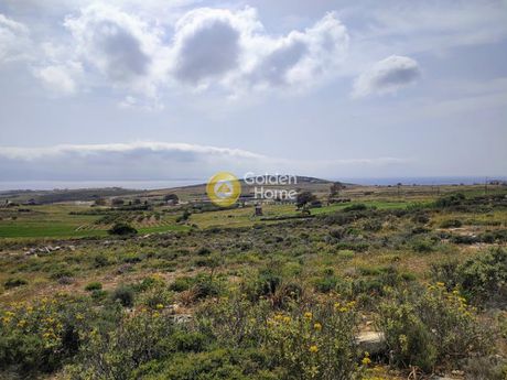 Αγροτεμάχια 10.621τ.μ. για πώληση-Πάρος » Τσουκαλάς