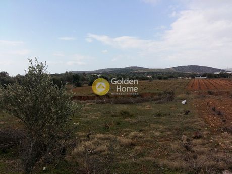 Parcel 5.000 sqm for sale