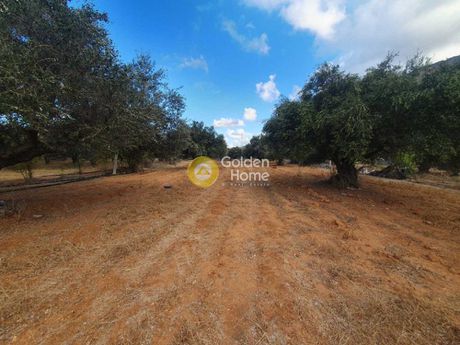 Land plot 4.000sqm for sale-Gouves » Agia Pelagia