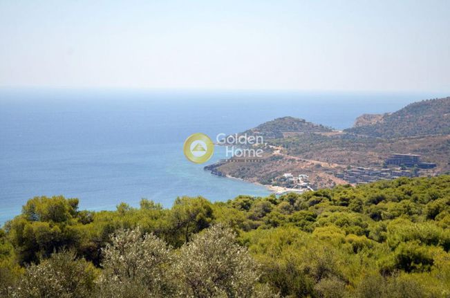 Land plot 5.000 sqm for sale, Argosaronikos Islands, Aegina