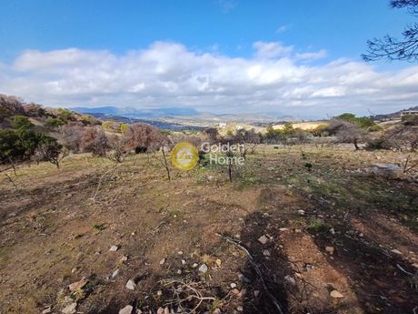 Parcel 4.078sqm for sale-Kalivia Thorikou » Lagonisi