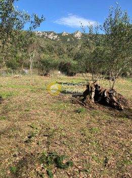 Land plot 1.500sqm for sale-Corfu » Palaiokastritsa
