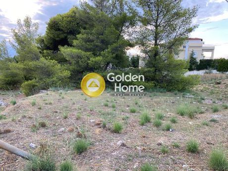 Land plot 1.815sqm for sale-Kefalonia » Eleioi-Pronoi