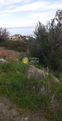 Αγροτεμάχια 2.700 τ.μ. για πώληση