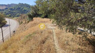 Αγροτεμάχια 1.000 τ.μ. για πώληση