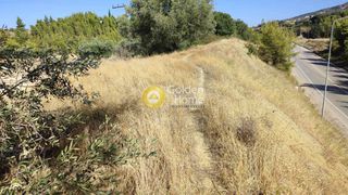 Αγροτεμάχια 1.000 τ.μ. για πώληση, Αχαΐα, Μεσσατίδα-thumb-2