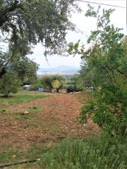 Οικόπεδο 1.500 τ.μ. για πώληση, Αχαΐα, Μεσσατίδα-thumb-2
