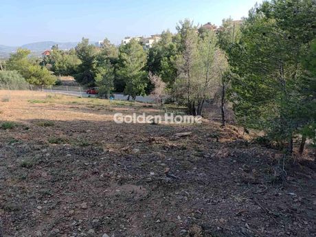 Land plot 563sqm for sale-Pikermi » Dioni