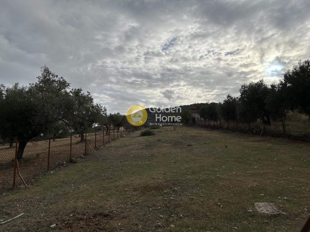 Αγροτεμάχια 1.146 τ.μ. προς πώληση, Άγιος Δημήτριος Κορωπίου