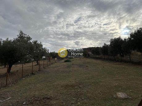 Αγροτεμάχια 1.146τ.μ. για πώληση-Κορωπί » Άγιος δημήτριος