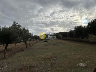 Αγροτεμάχια 1.146 τ.μ. προς πώληση