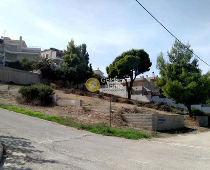 Οικόπεδο 631τ.μ. για πώληση-Ανάβυσσος » Άγιος νικόλαος