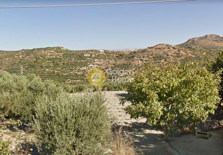 Land plot 4.100sqm for sale-Kissamos » Grigoriana