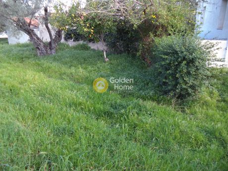 Parcel 543sqm for sale-Akrata » Silivainiotika