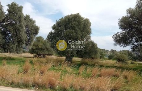 Land plot 1.150sqm for sale-Timpaki » Kokkinos Pirgos