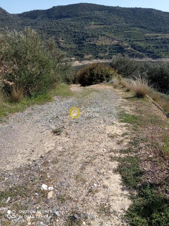 Αγροτεμάχια 13.141 τ.μ. προς πώληση, Λαλουμάς
